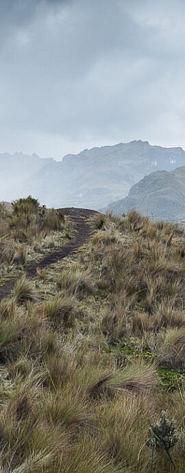 Paysages (20)2.0